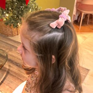 Parzinho de veludo bordado